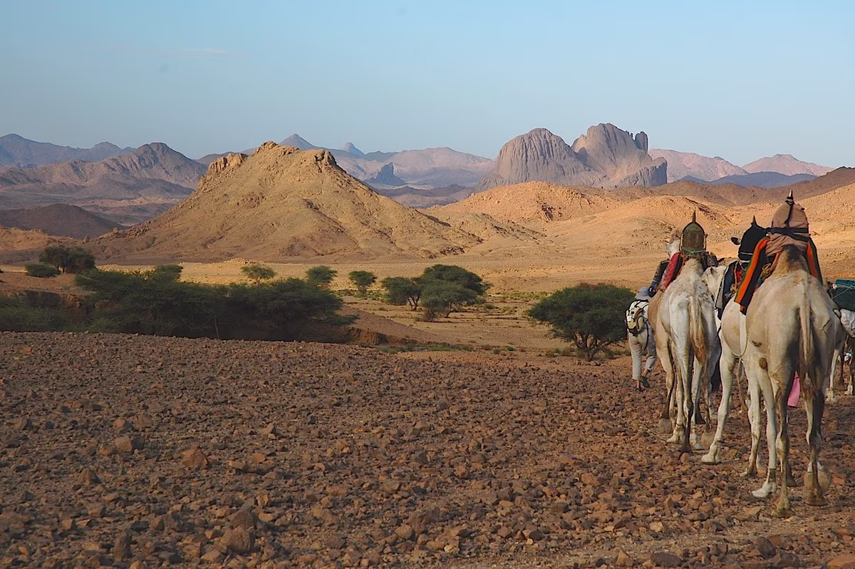A mitica jornada de camelo de Tamanrasset a Djanet