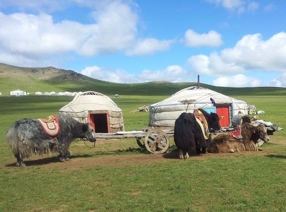 O acampamento Mongol Nomadic