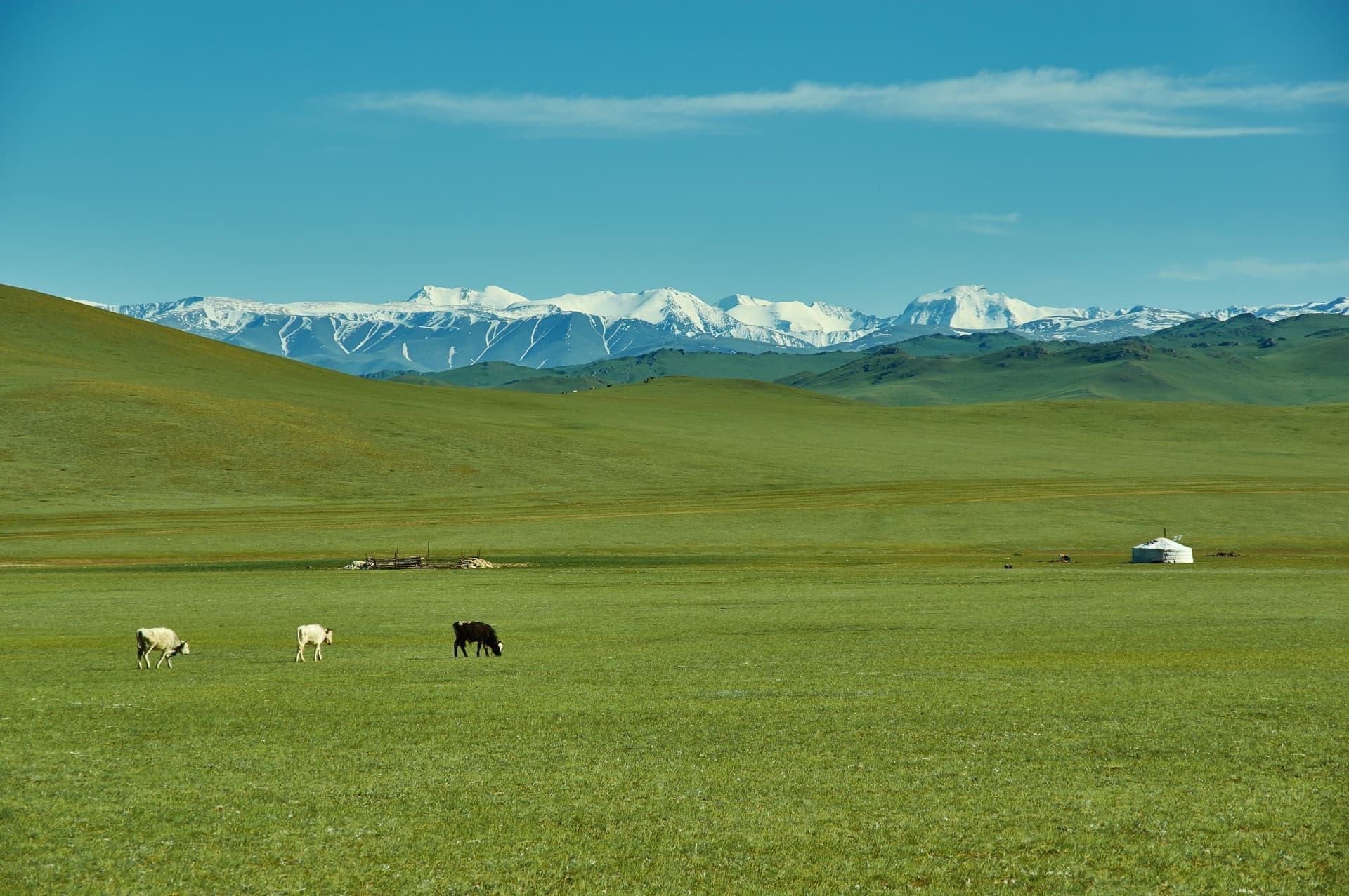 A Mongólia como você nunca viu: trekking na cordilheira de Kharkiraa