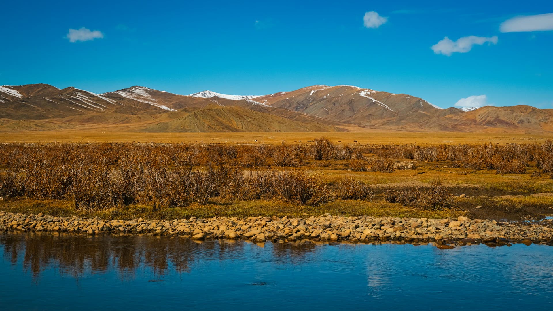 Rio Ider Tosontsengel
