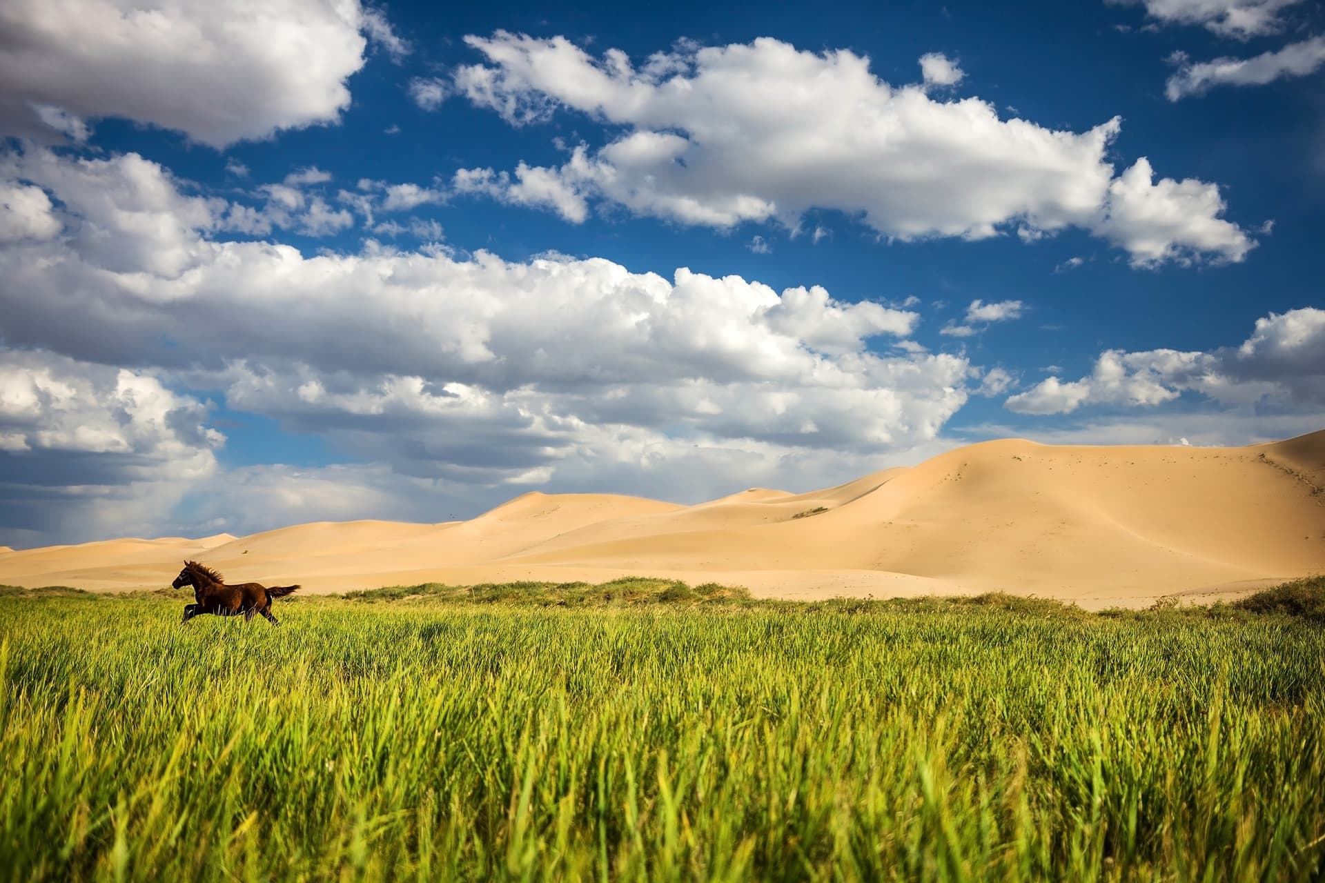 Os gestos corretos para preservar a natureza mongol em viagem