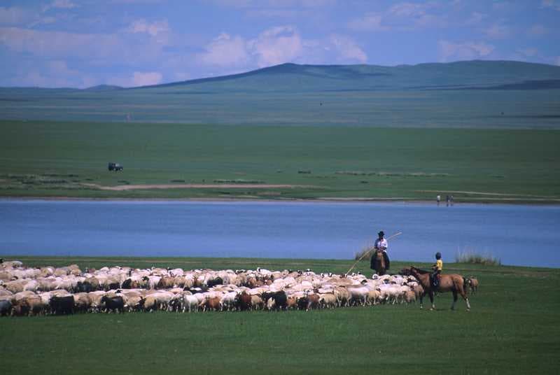 Os diferentes problemas que afetam a agricultura na Mongolia