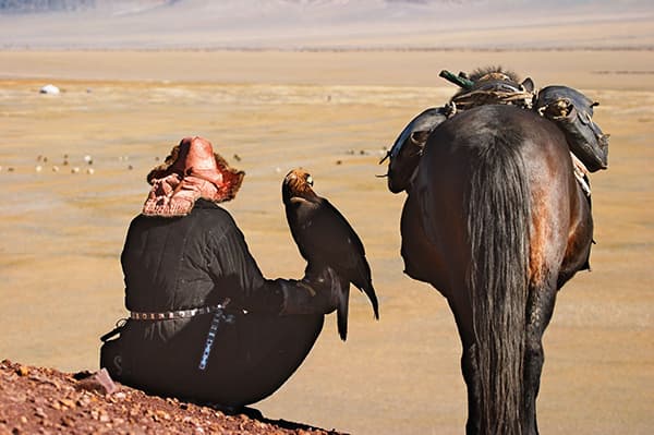 Encontrar os falcoeiros cazaques da Mongólia no Altai