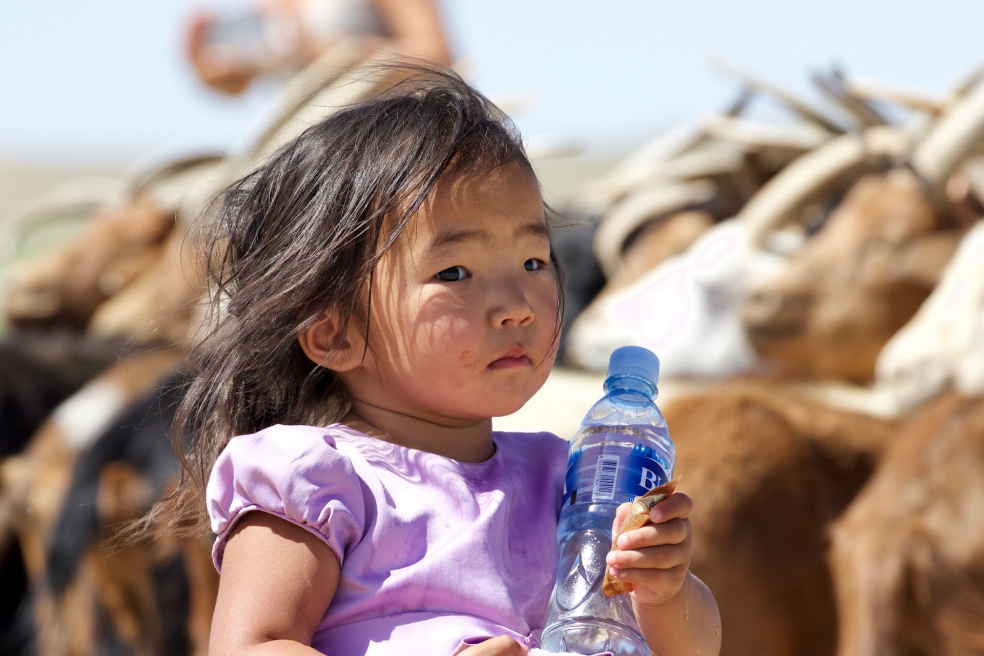 Projeto ecológico Horseback Mongolia: filtros de água para limitar garrafas de plástico nos tours pela Mongólia