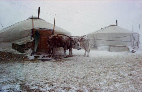 Fortes tempestades de neve e degelo causam caos