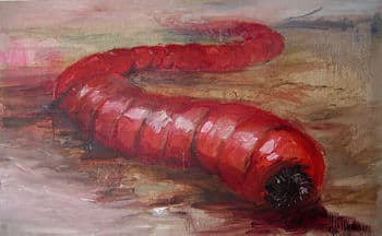 O mito do Olgoi-Khorkhoi