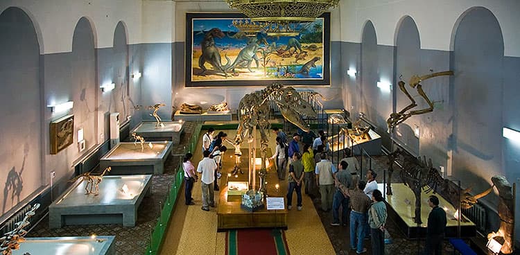 Sob o reino dos dinossauros
